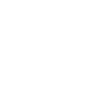 DEKRA Siegel